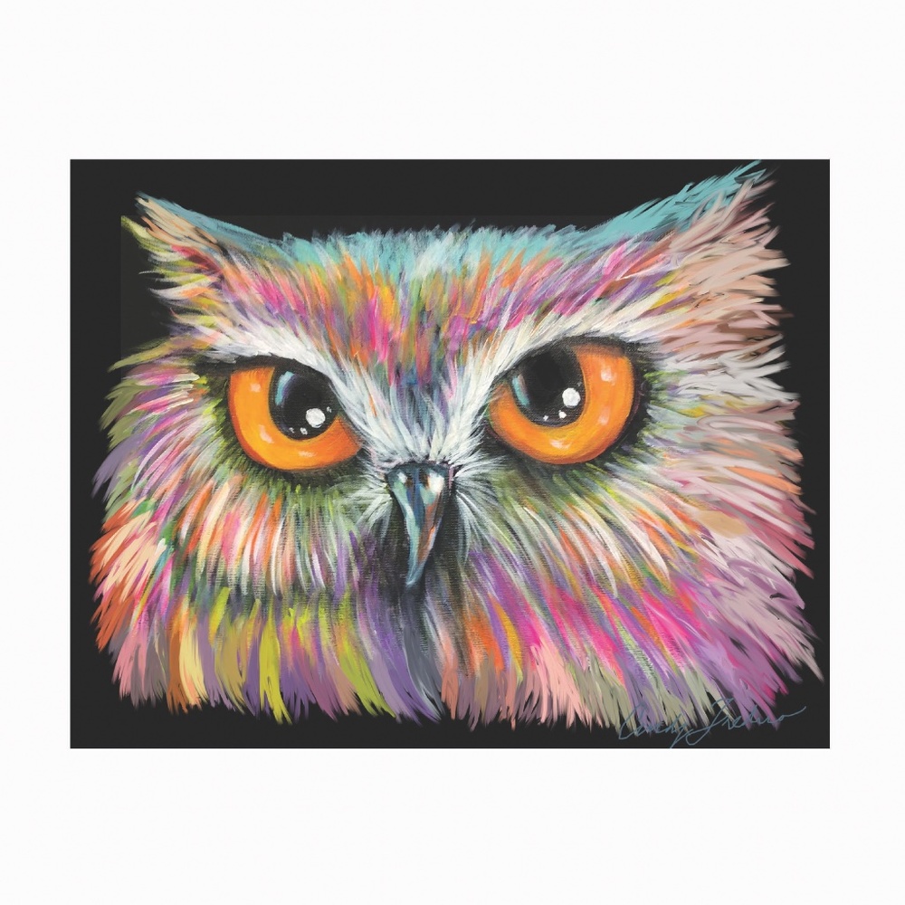 Owl Eyes Print - 3 Pack